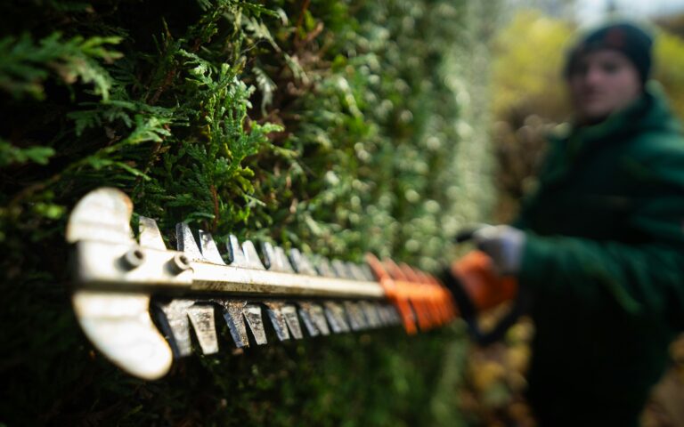 Vacature groenmedewerker bij WoldingaBedrijfsdiensten